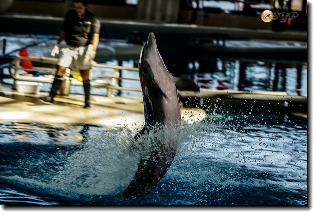 DSC02059_.jpg