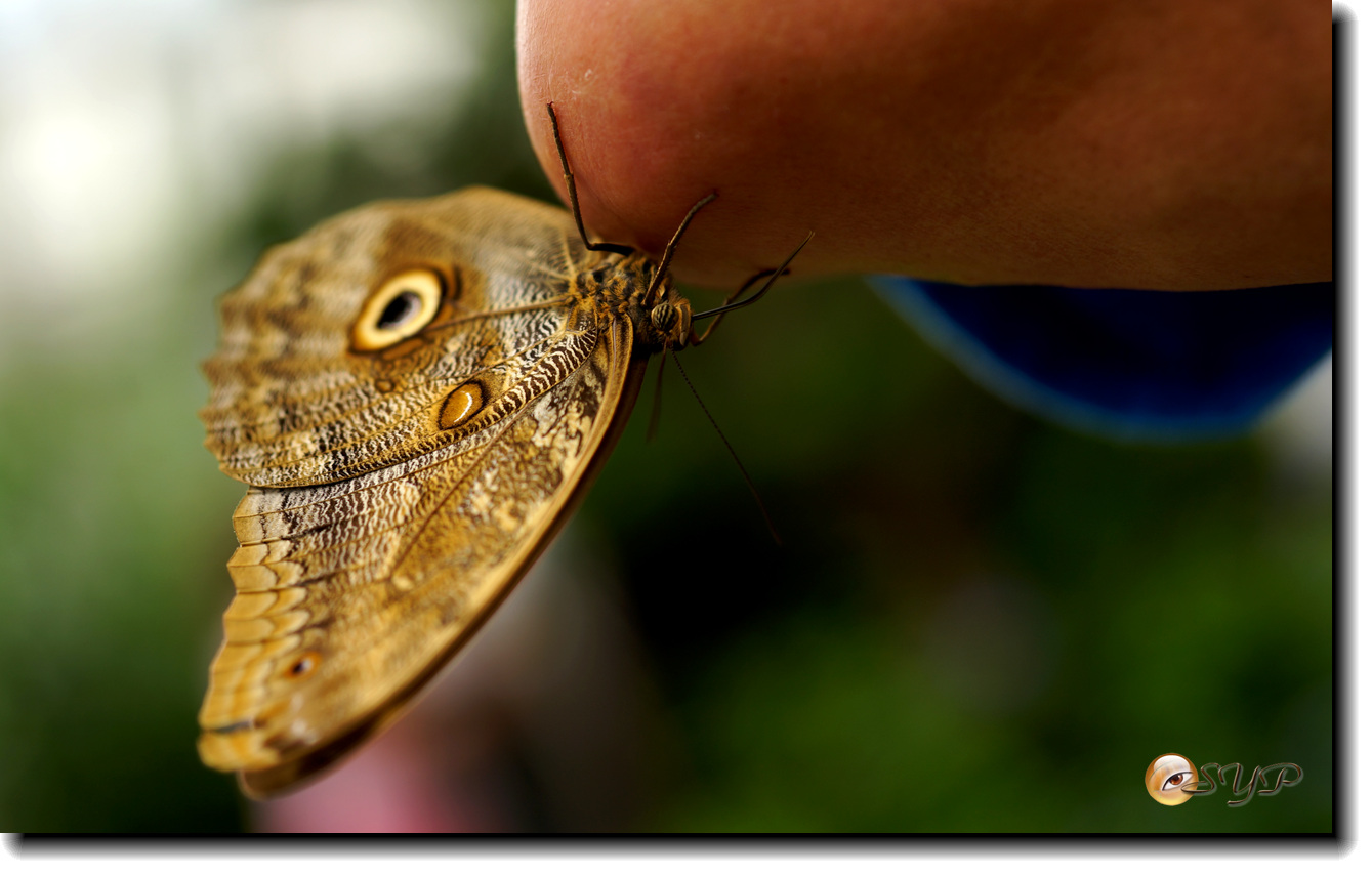 DSC01628_.jpg