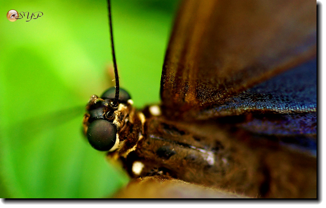 DSC01844_.jpg