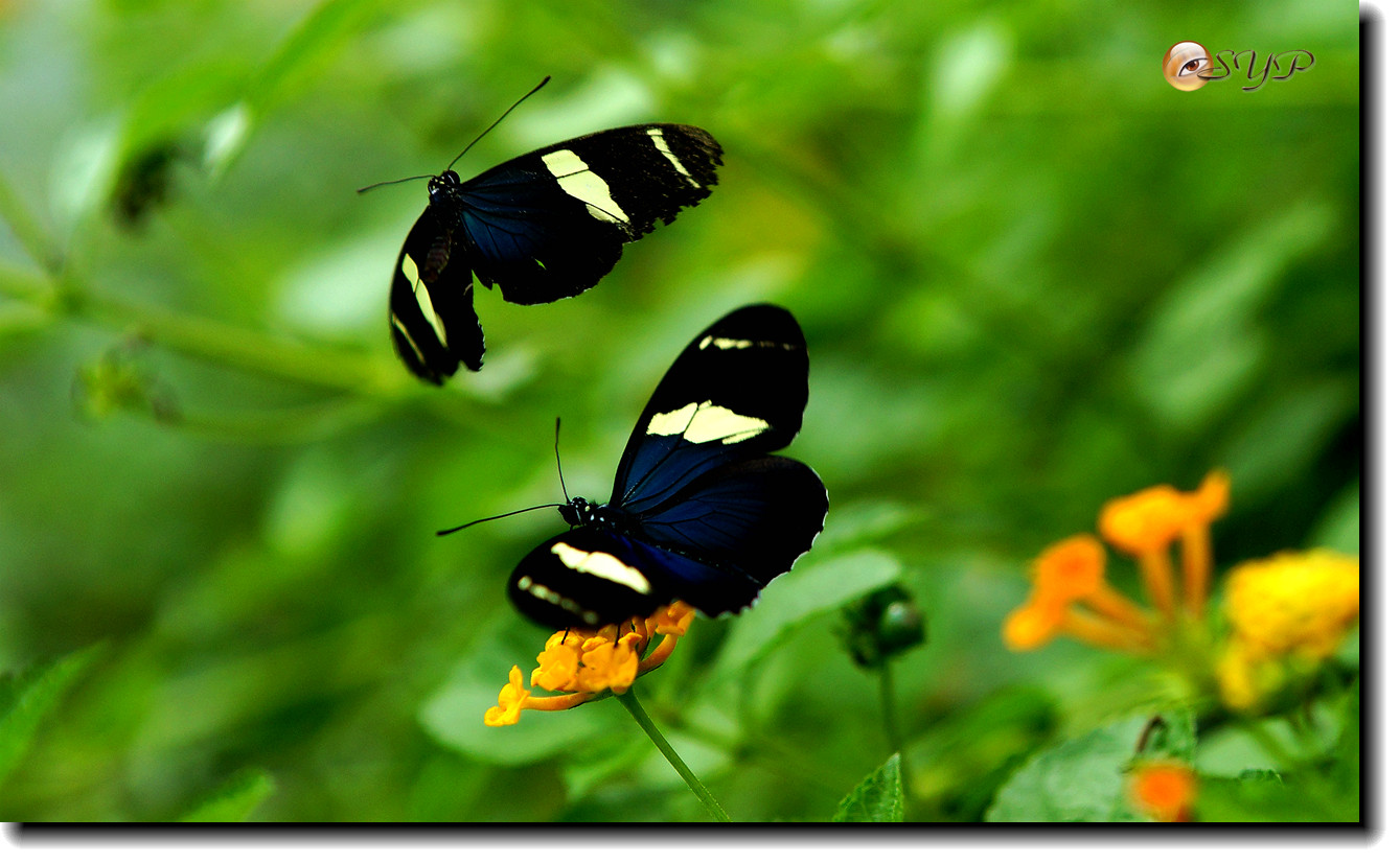DSC01602_.jpg