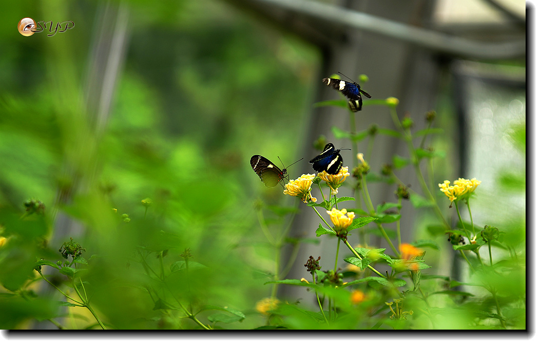 DSC01667_.jpg