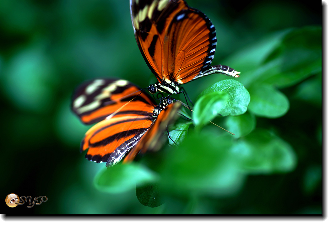 DSC01790_.jpg