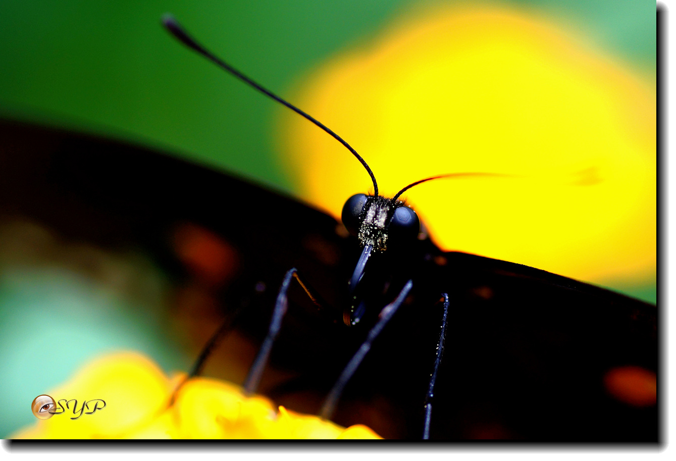 DSC01848_.jpg