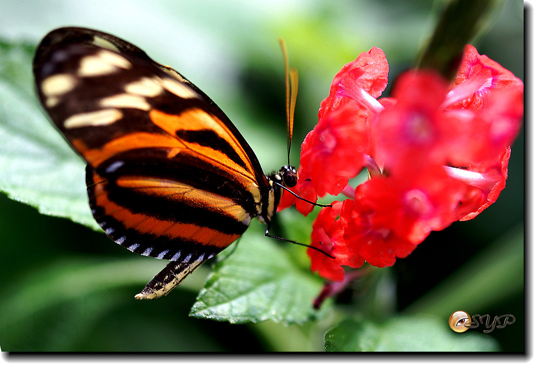 DSC01760_.jpg