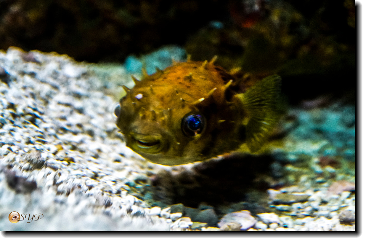 DSC02175_.jpg