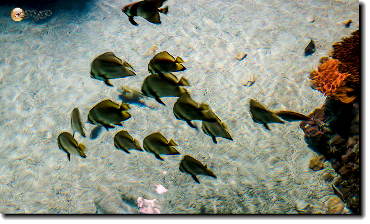 DSC02097_.jpg