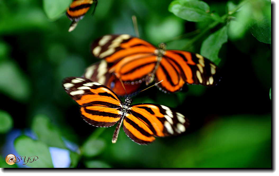 DSC01825_.jpg