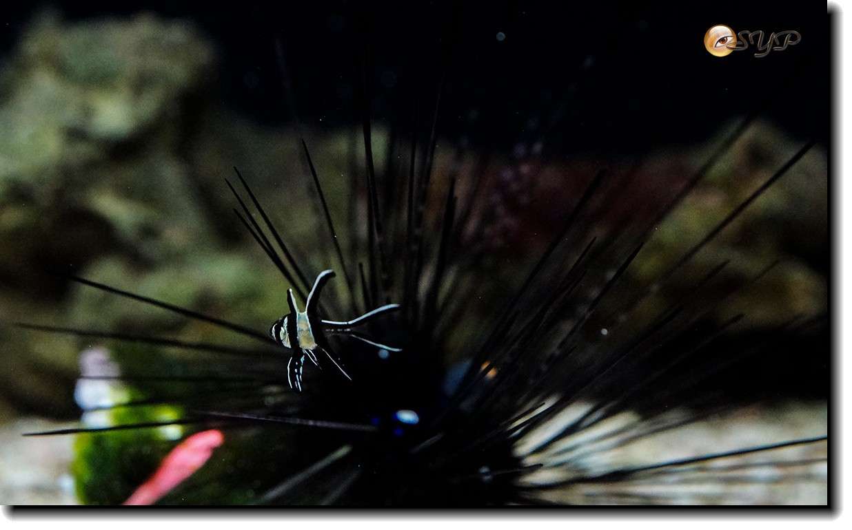 DSC02152_.jpg