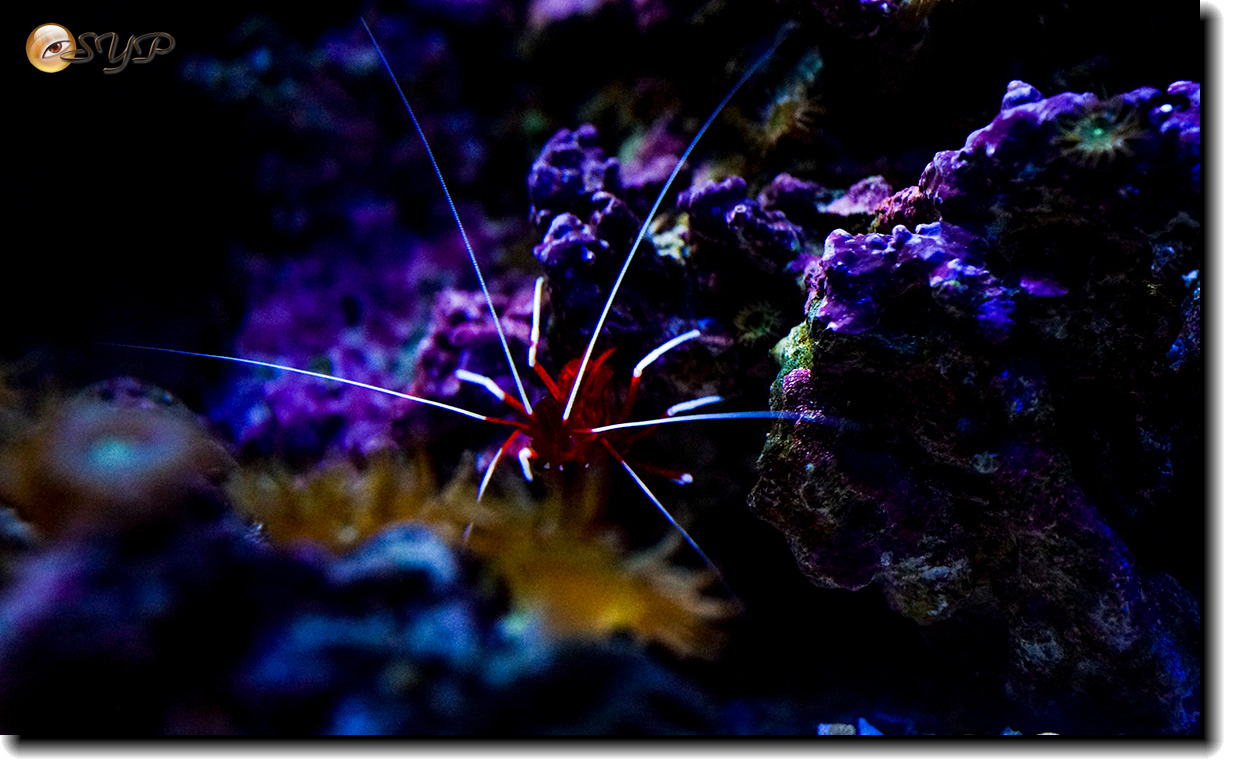 DSC02146_.jpg