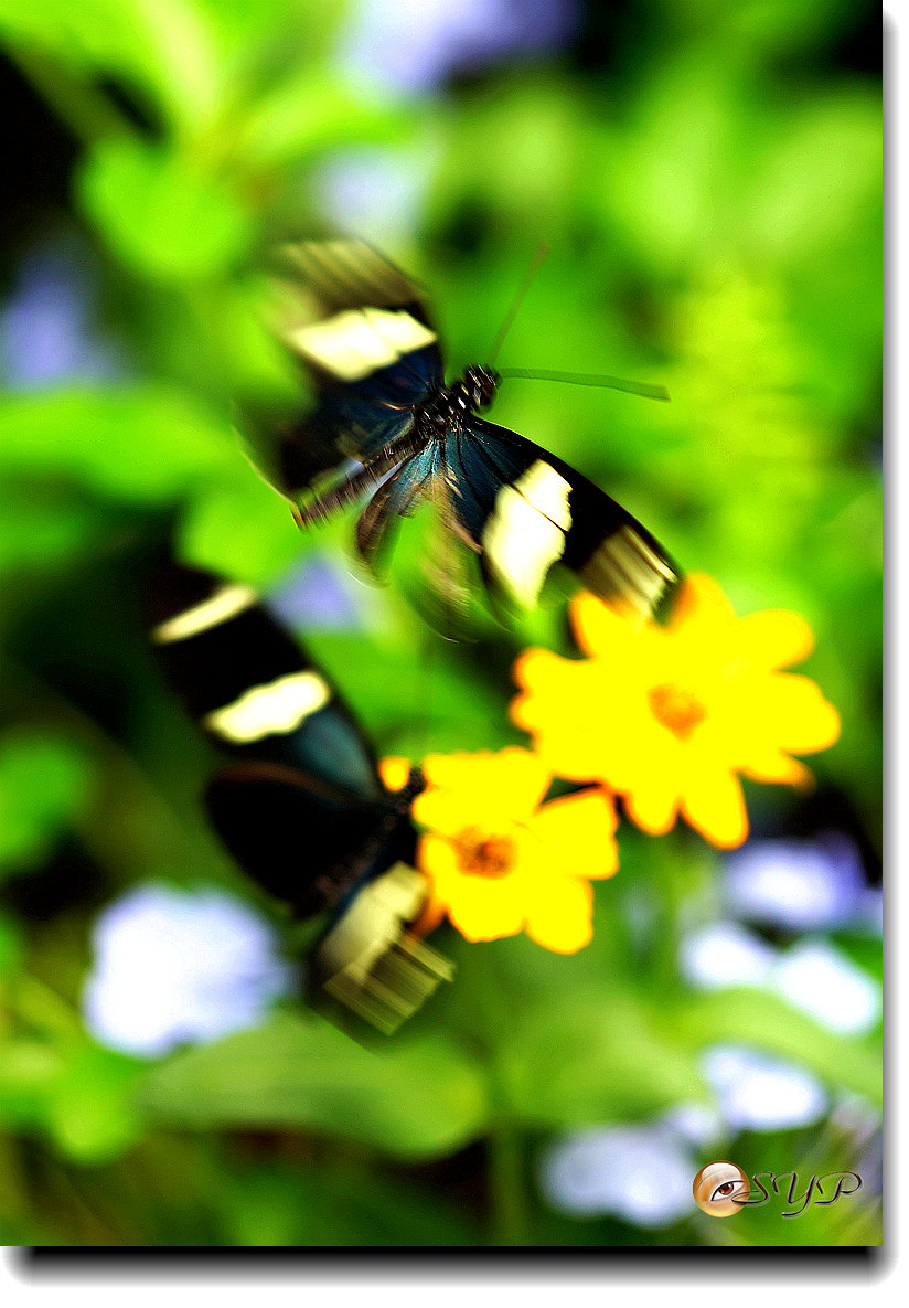 DSC01751_.jpg