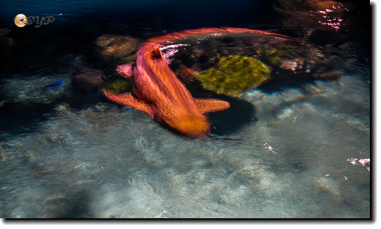 DSC02100_.jpg