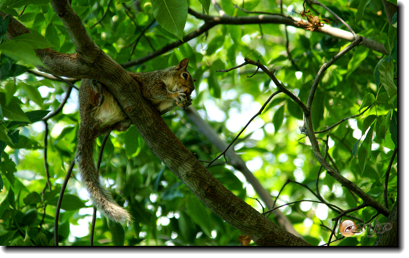 DSC01074_.jpg