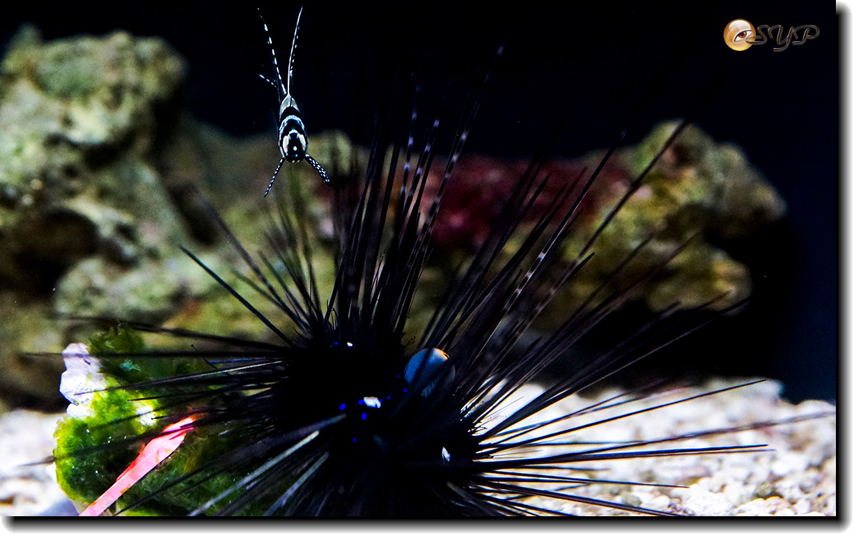 DSC02149_.jpg
