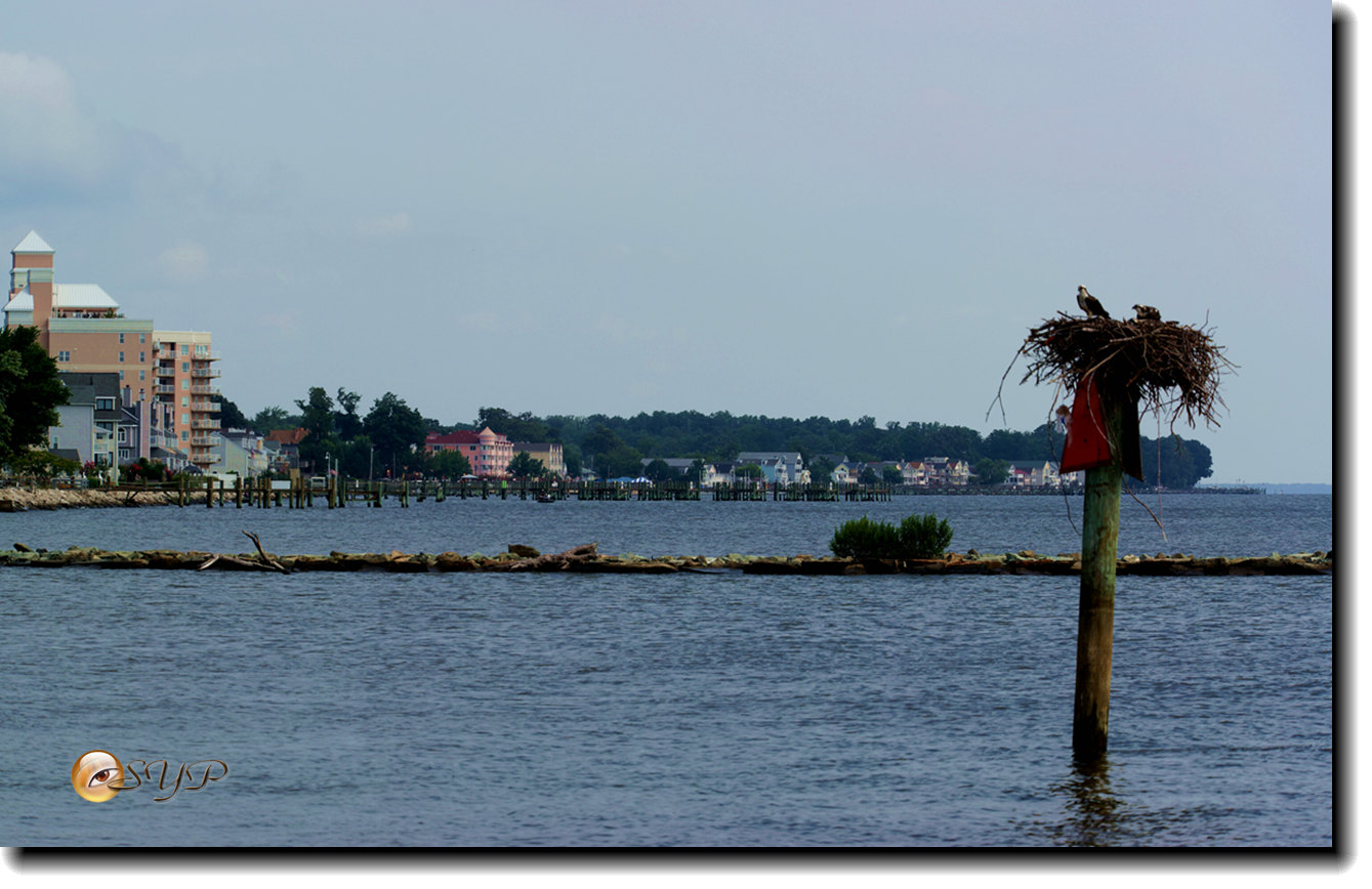 DSC01029_.jpg
