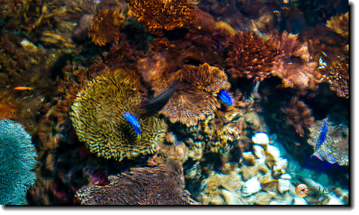 DSC02094_.jpg