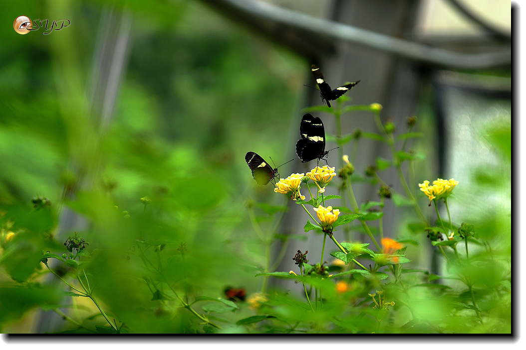 DSC01669_.jpg