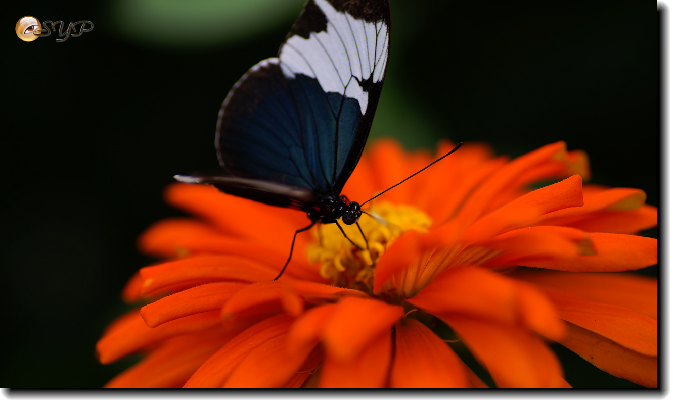 DSC01553_.jpg