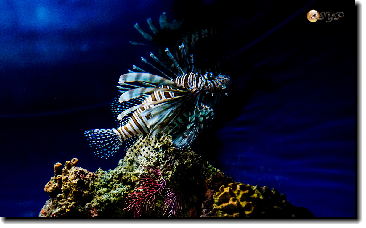 DSC02165_.jpg