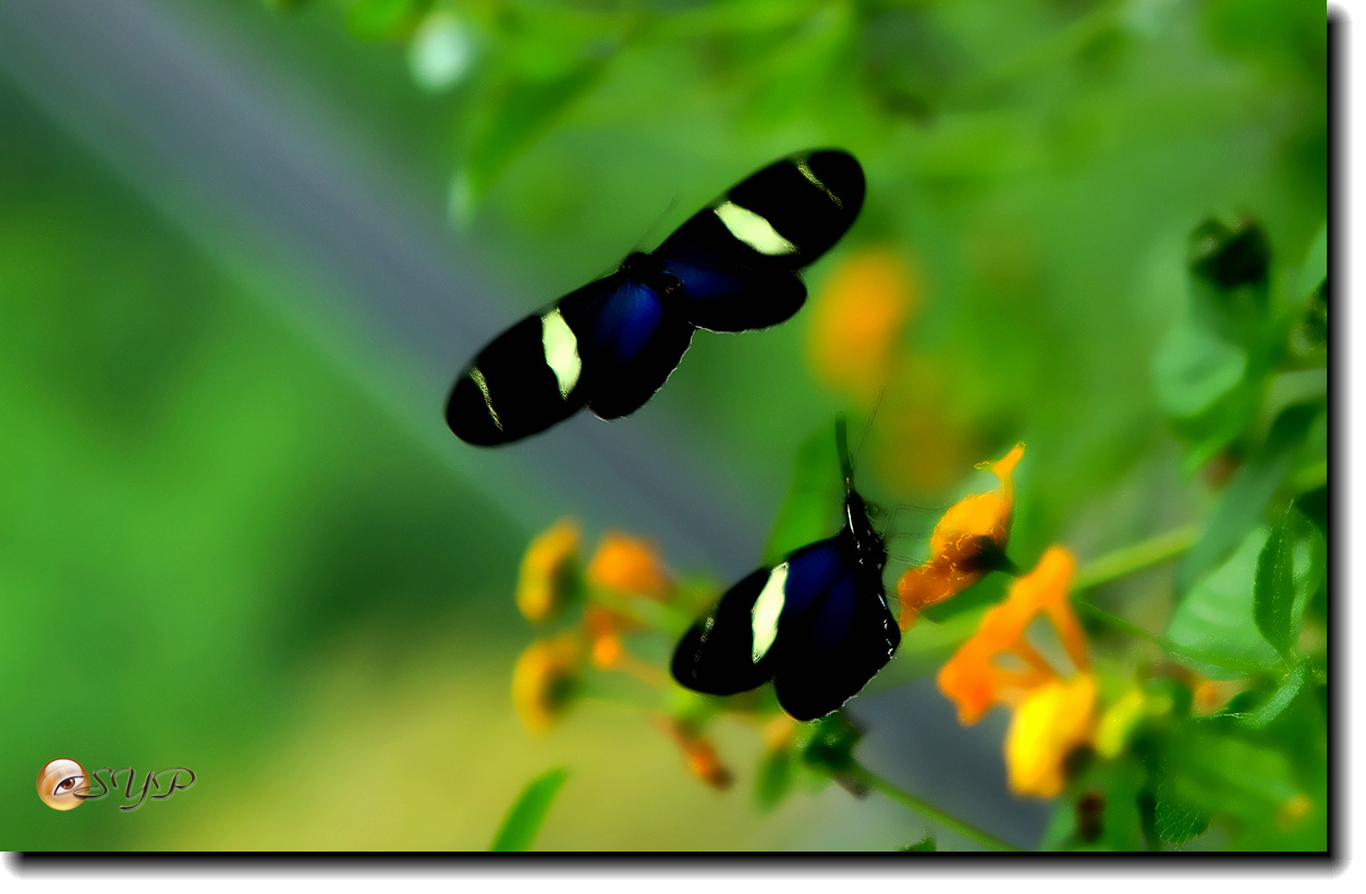 DSC01590_.jpg