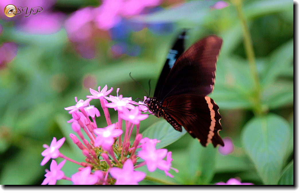 DSC01743_.jpg