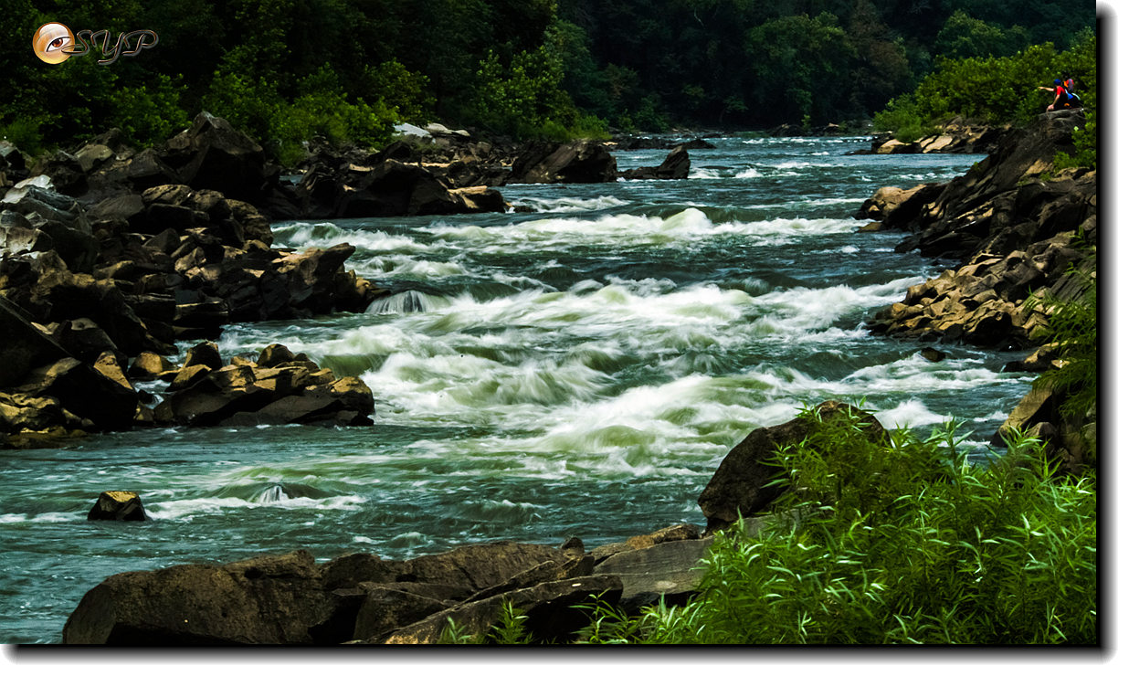 DSC02014_.jpg