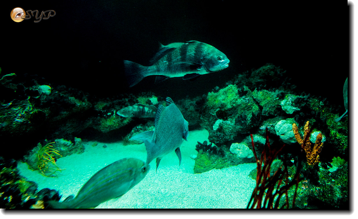 DSC02129_.jpg