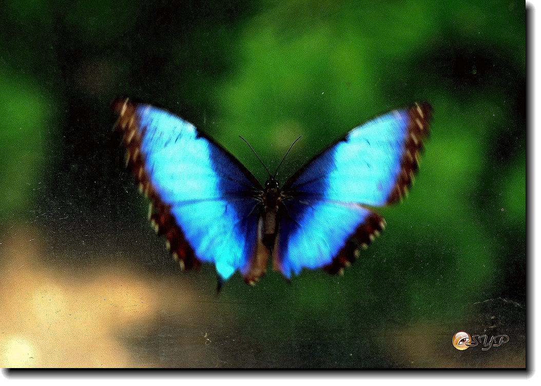 DSC01650_.jpg
