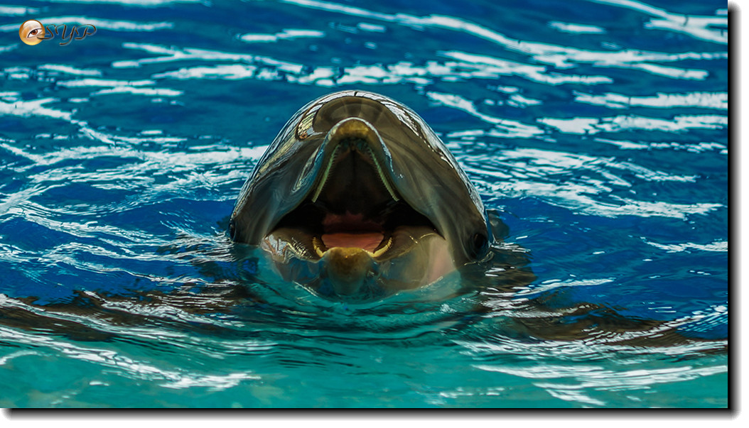 DSC02047_.jpg