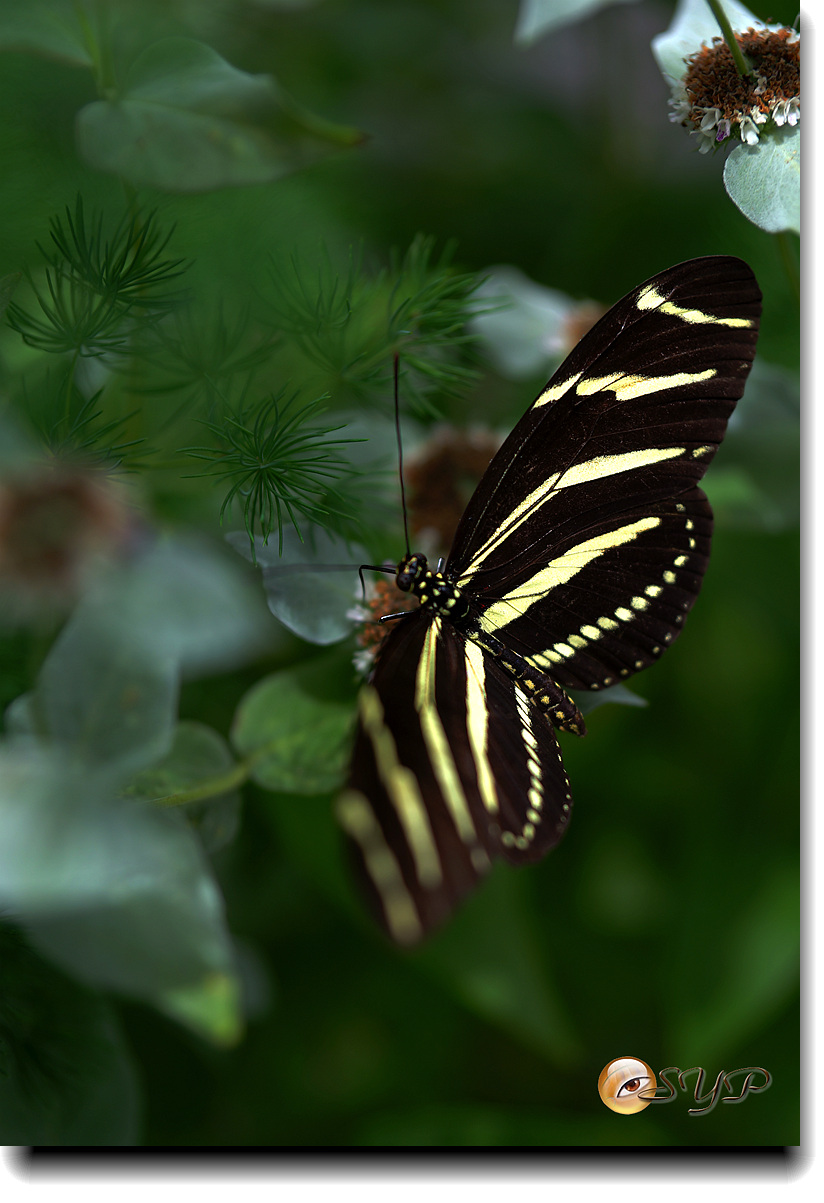 DSC01720_.jpg