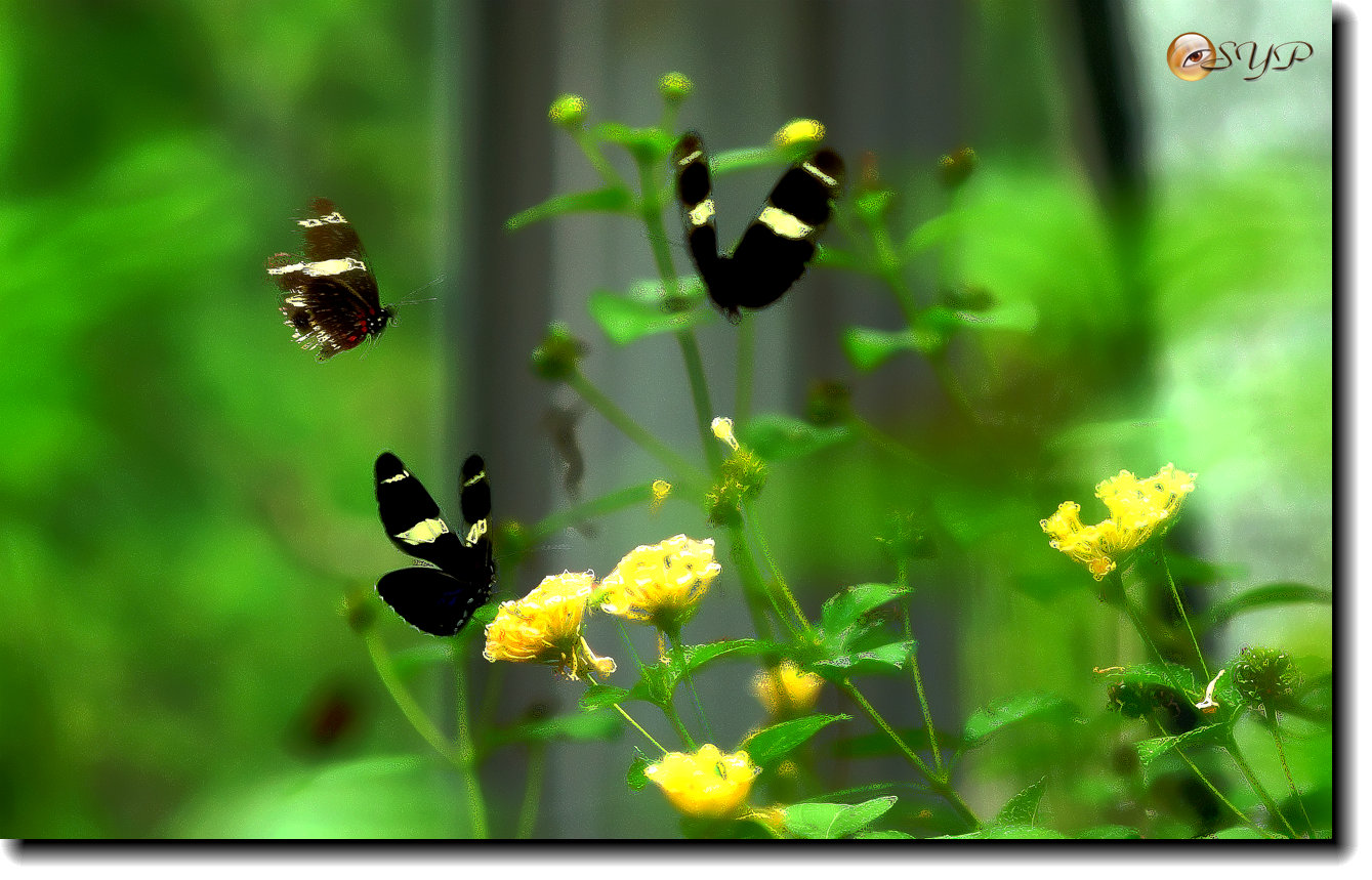 DSC01597_����.jpg