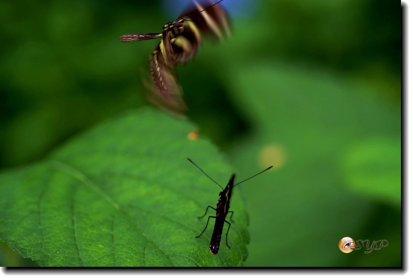 DSC01556_.jpg