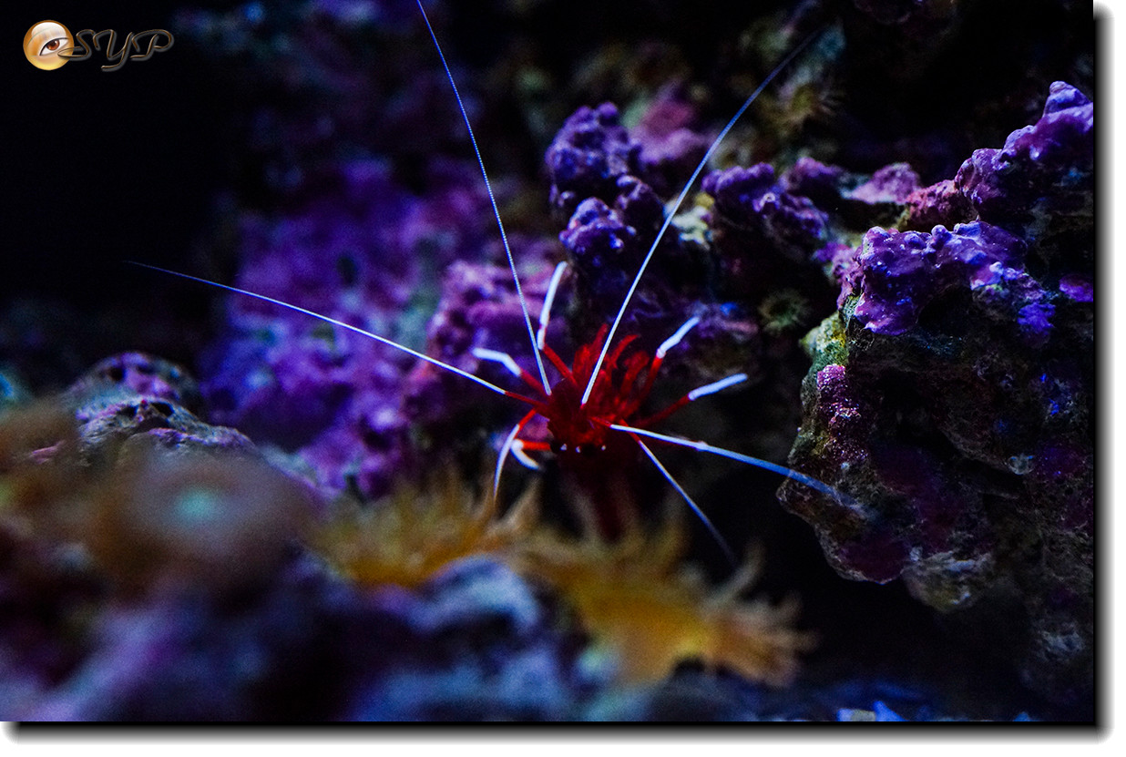 DSC02148_.jpg