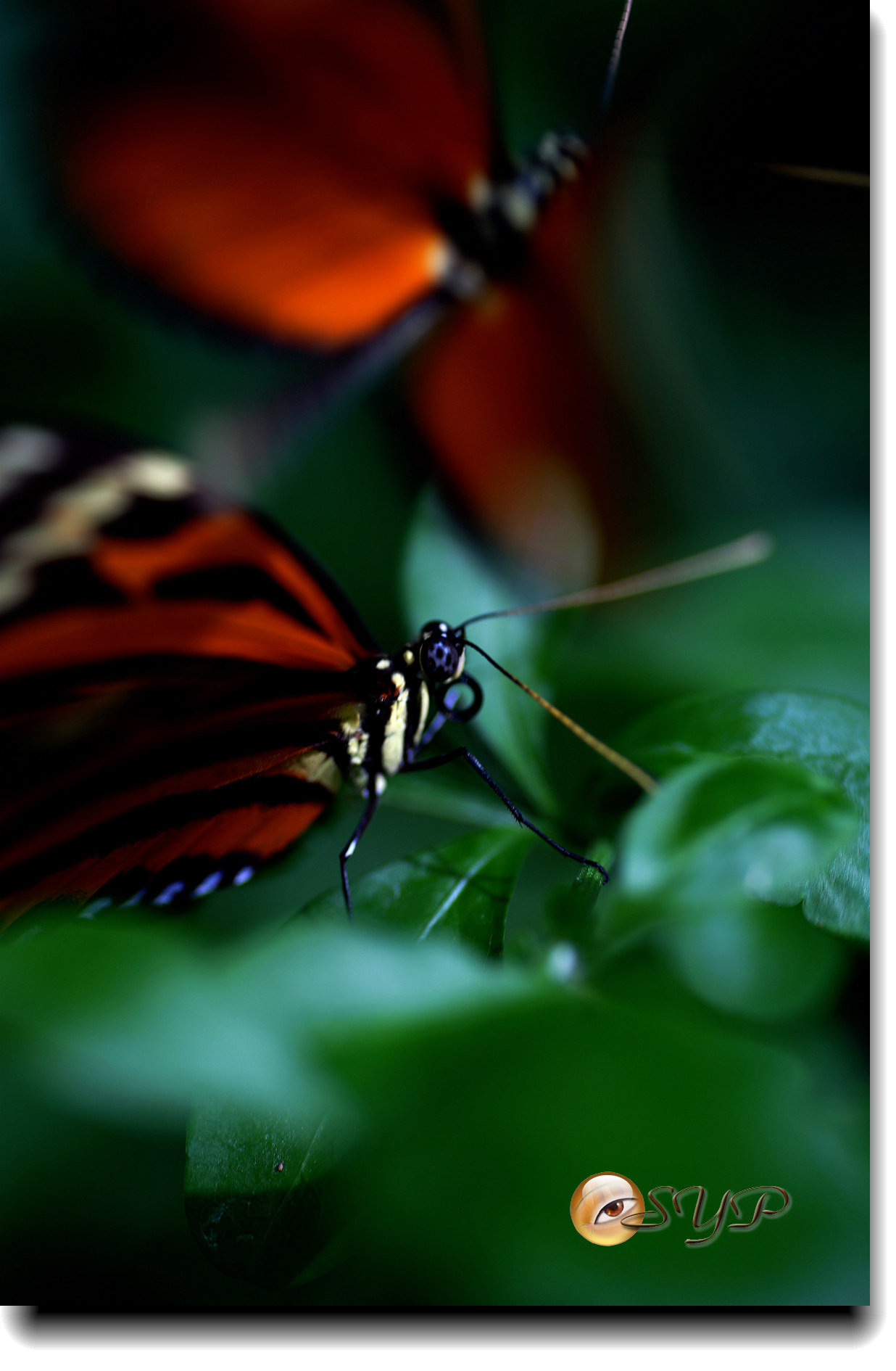 DSC01780_.jpg