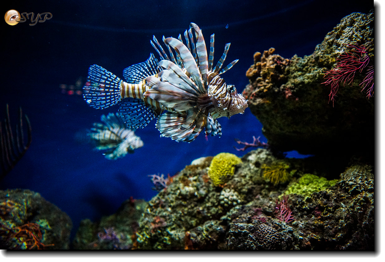 DSC02171_.jpg