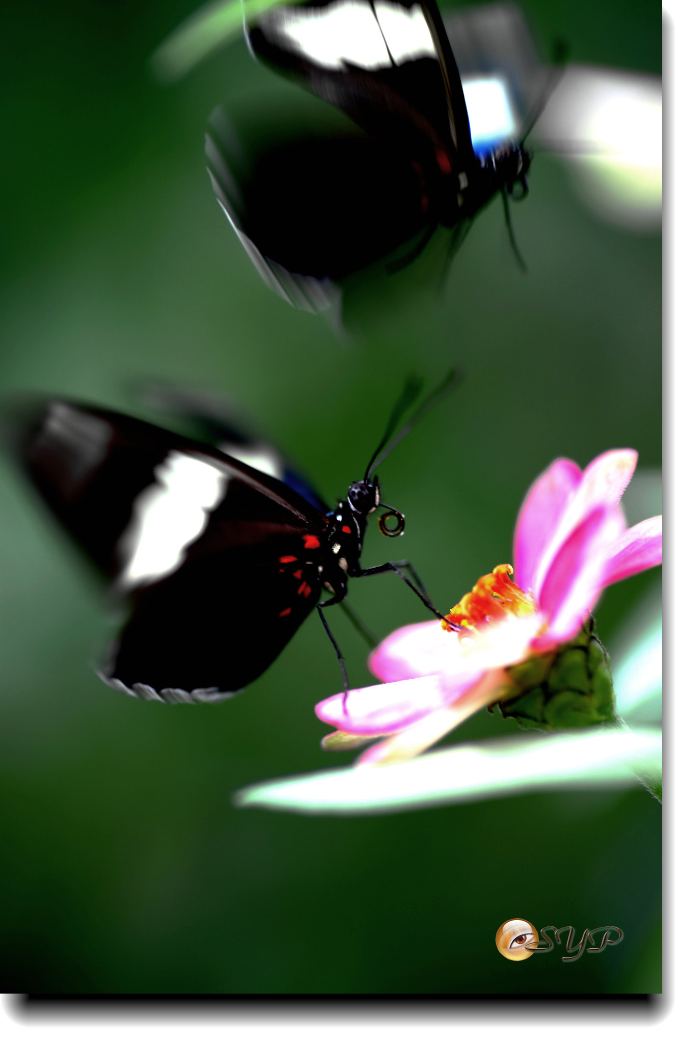 DSC01772_.jpg