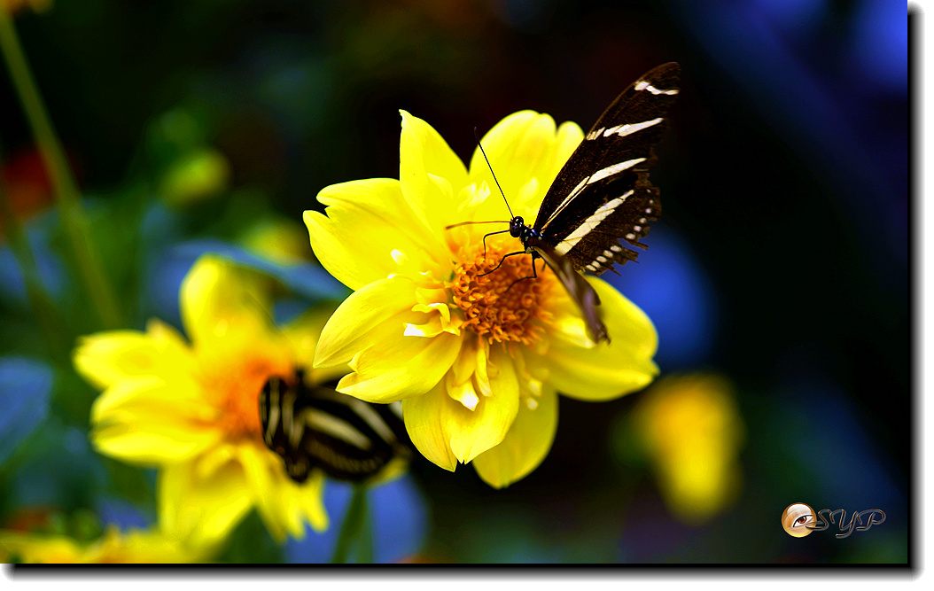 DSC01641_.jpg