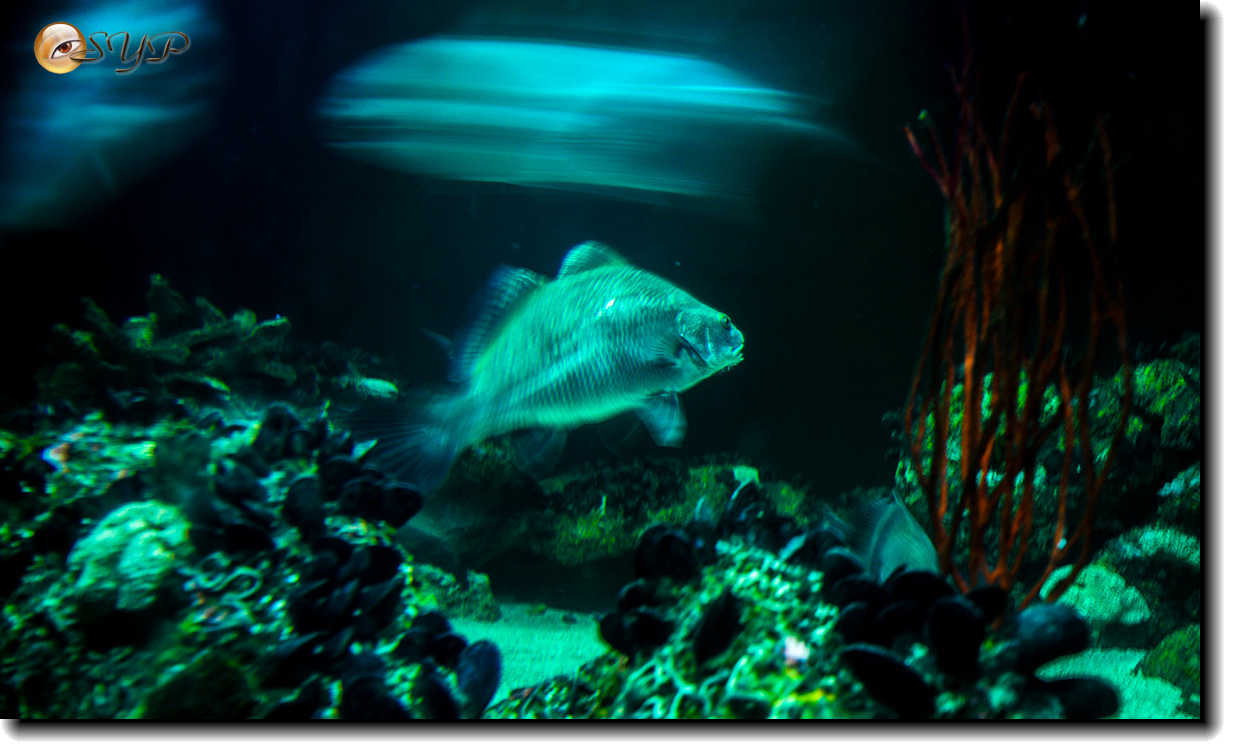 DSC02118_.jpg