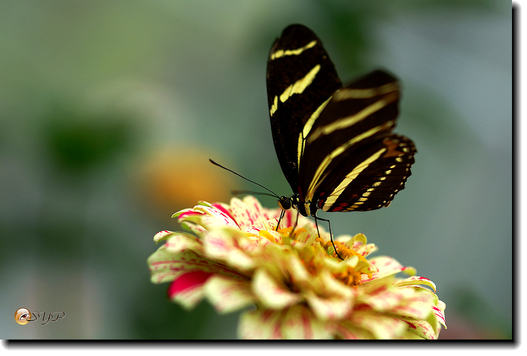DSC01635_.jpg