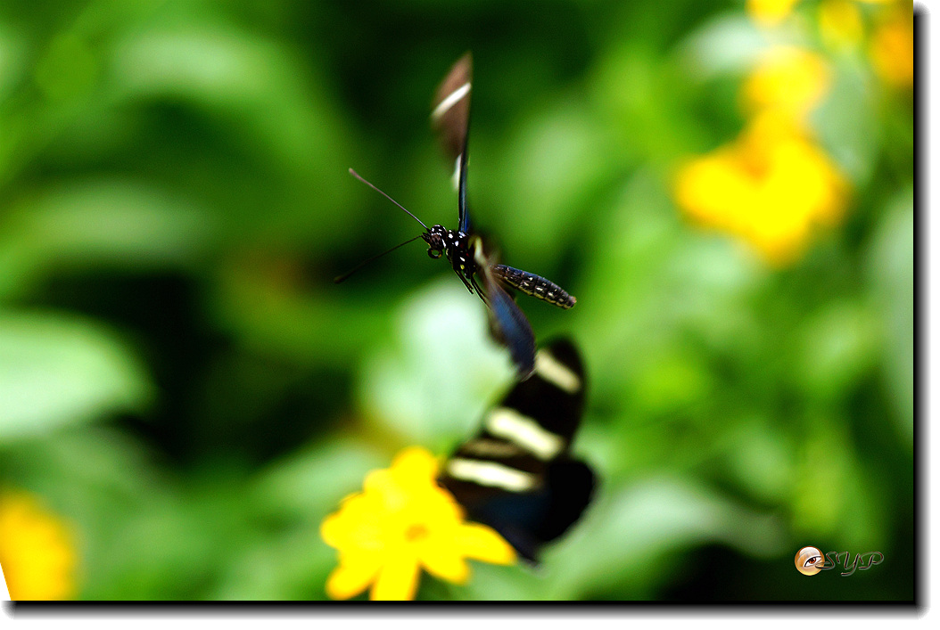 DSC01694_.jpg