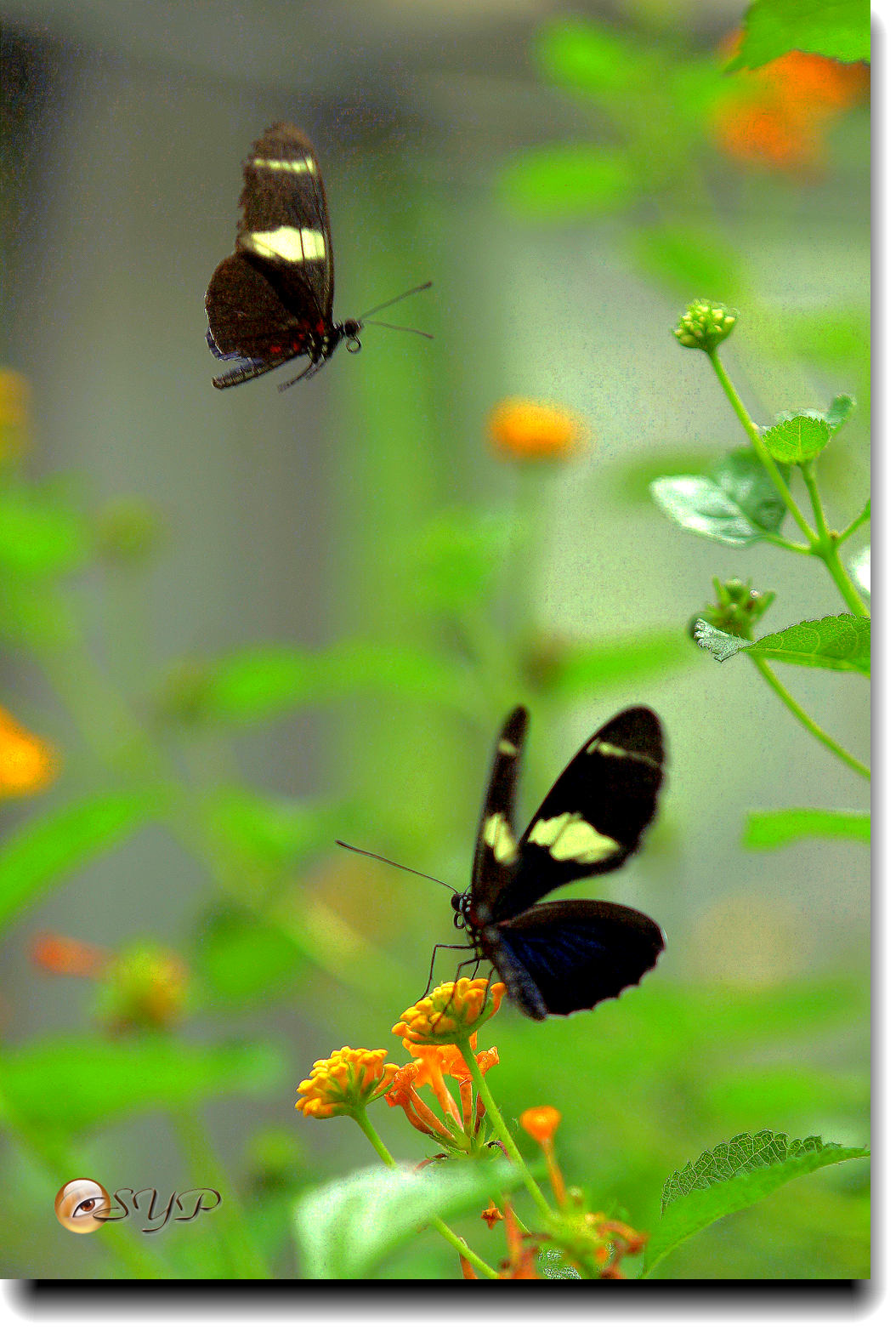 DSC01609_.jpg
