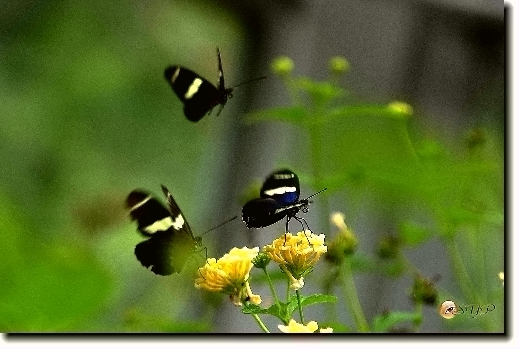 DSC01661_.jpg