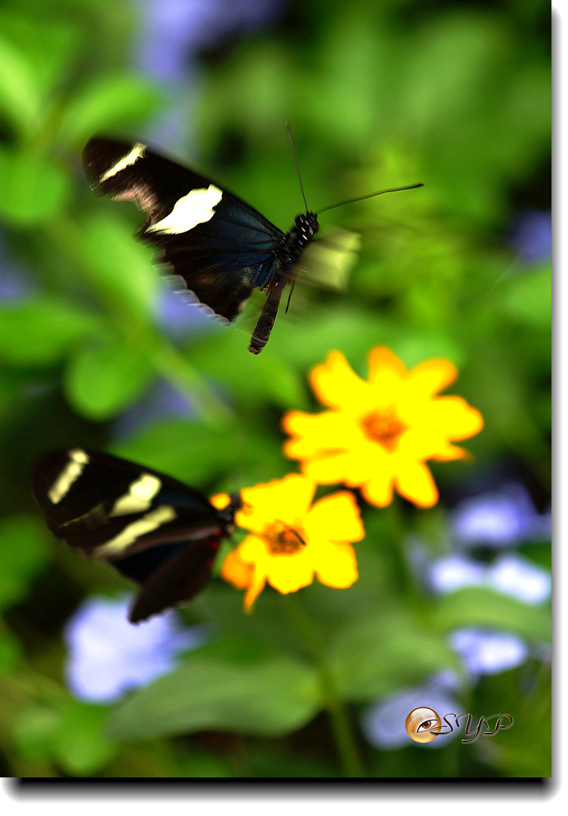 DSC01757_.jpg