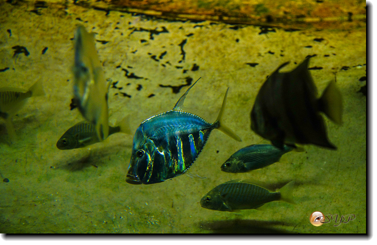 DSC02112_.jpg