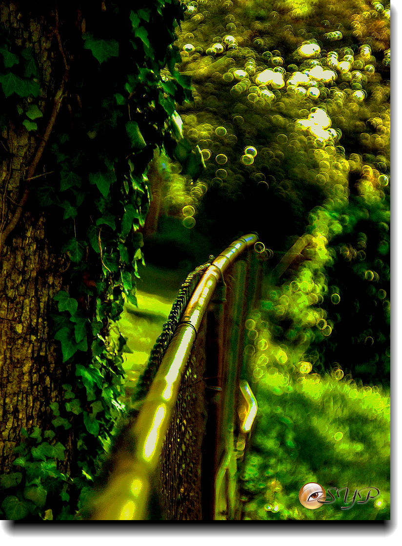 DSC02795_.jpg