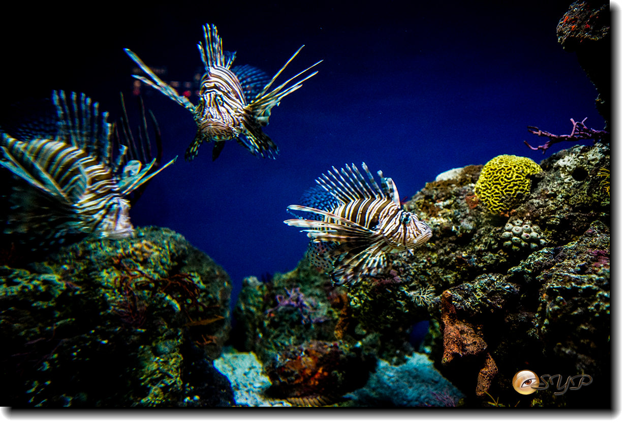 DSC02166_.jpg