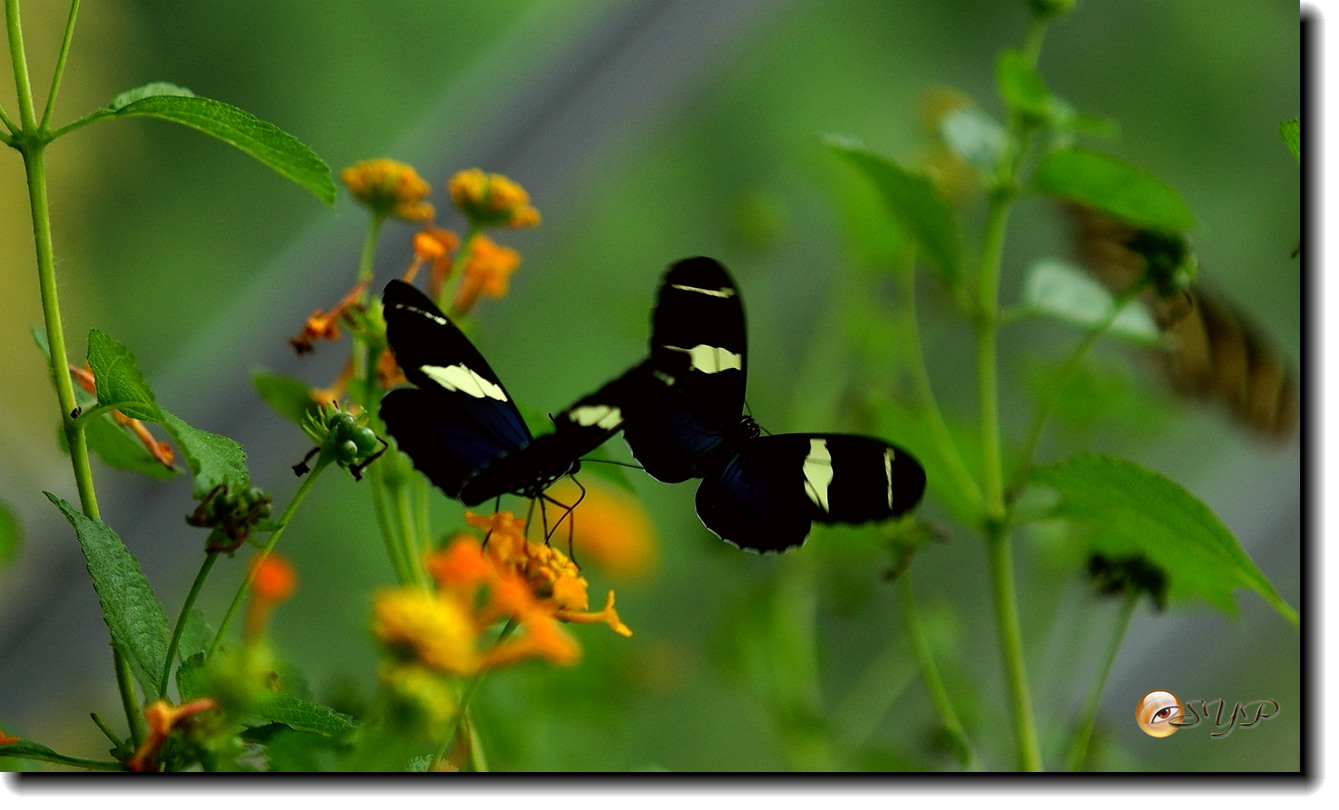 DSC01586_.jpg