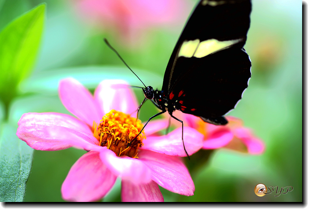 DSC01768_.jpg