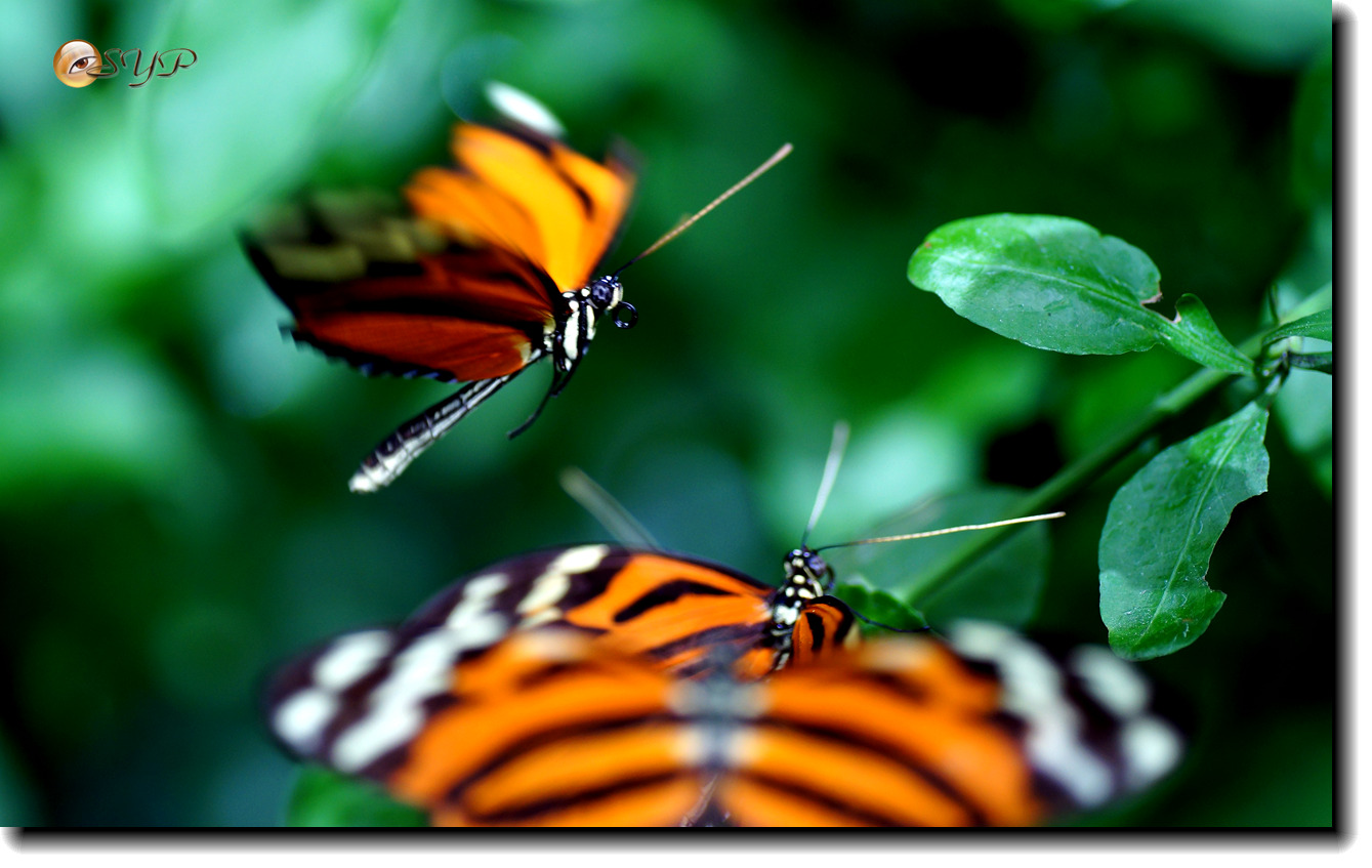 DSC01819_.jpg