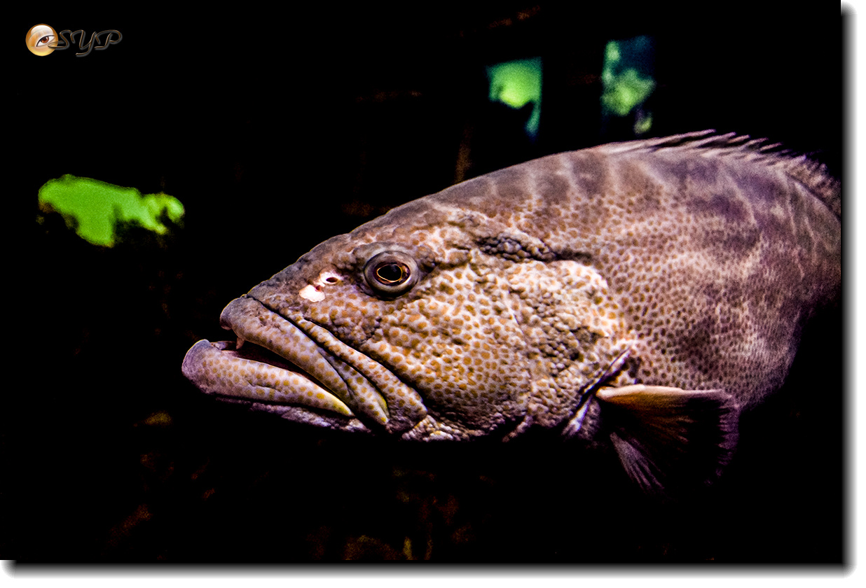 DSC02162_.jpg