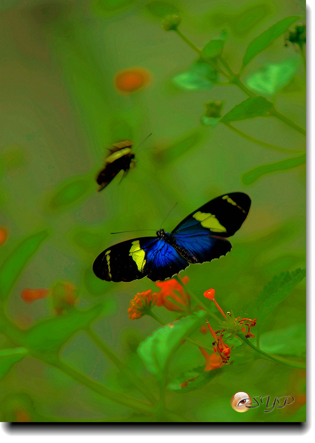 DSC01607_.jpg